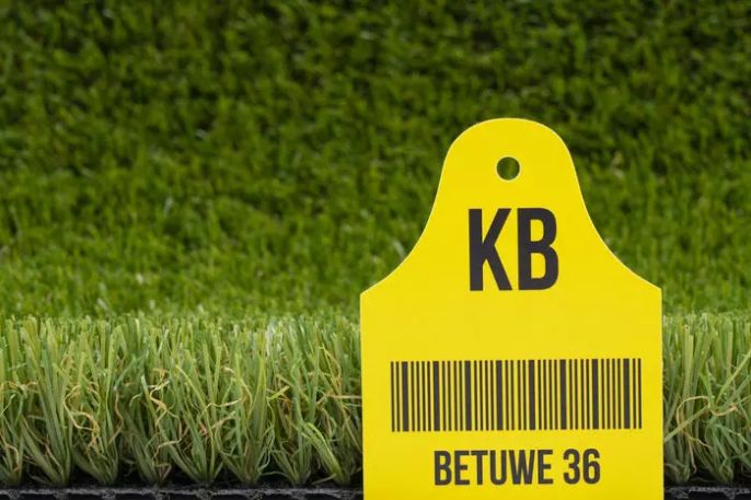 Betuwe, hoofdbeeld