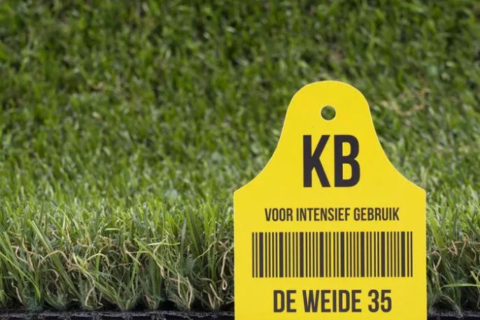 De Weide